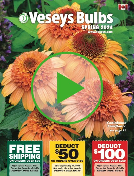 Request a Free Catalogue Veseys